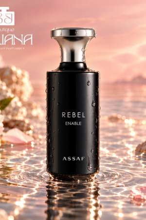 ASSAF REBEL ENABLE