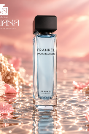 ASSAF FRANKEL IMAGINATION