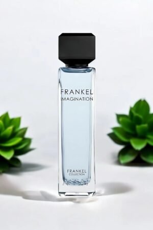 ASSAF FRANKEL IMAGINATION