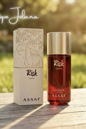ASSAF Risk COMÈTE