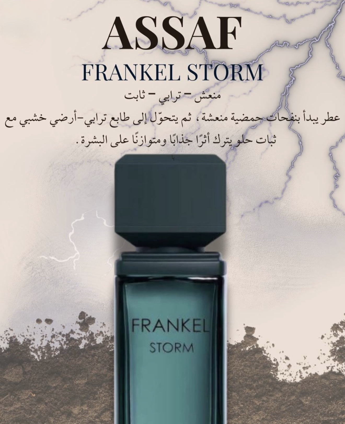 ASSAF FRANKEL STORM - Image 2