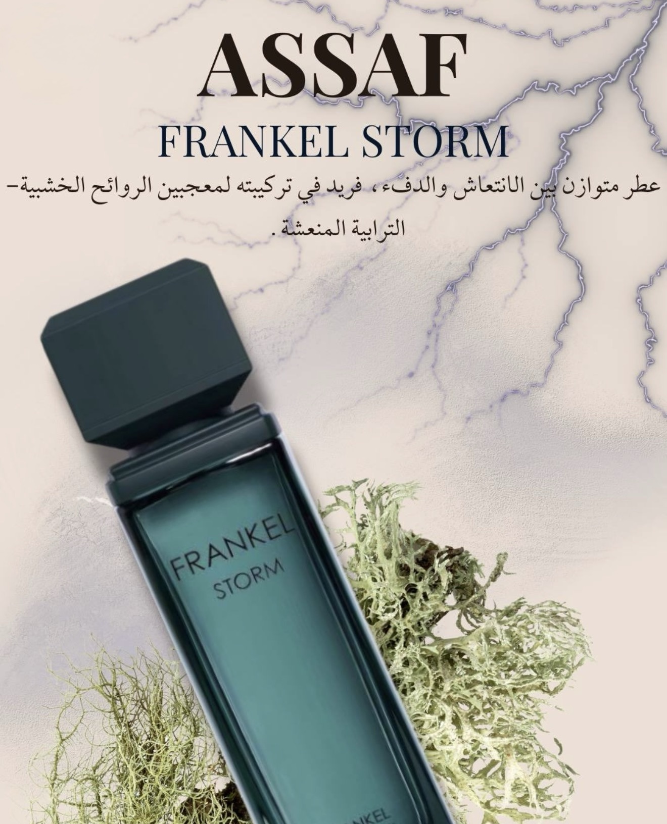 ASSAF FRANKEL STORM - Image 3