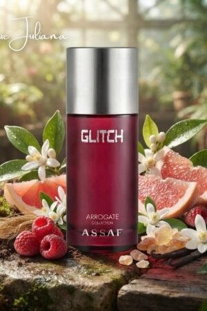 ASSAF GLITCH